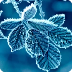 winter wallpapers [hd quality] android application logo